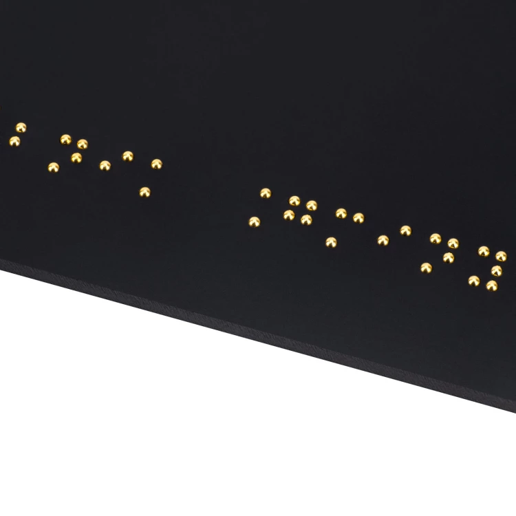 Tabliczka z pismem Braille'a - czarny matowy akryl i złote wypukłe litery - wym. 340x110mm - TAB605